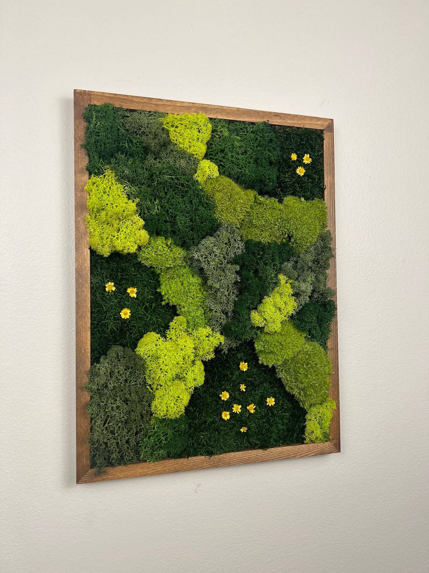 Moss Wall Art | Preserved Moss Framed | Moss Wall Decor | Rectangle Frame | Sheet Moss Pole Moss and  Reindeer Moss