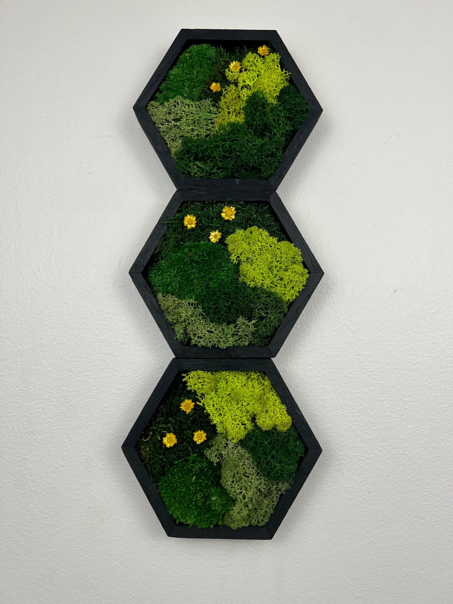 Honeycomb Moss Wall Art: Preserved Reindeer Moss & Yellow Flowers