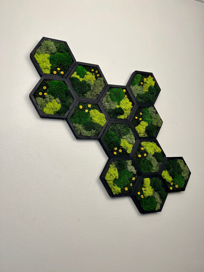 Honeycomb Moss Wall Art: Preserved Reindeer Moss & Yellow Flowers