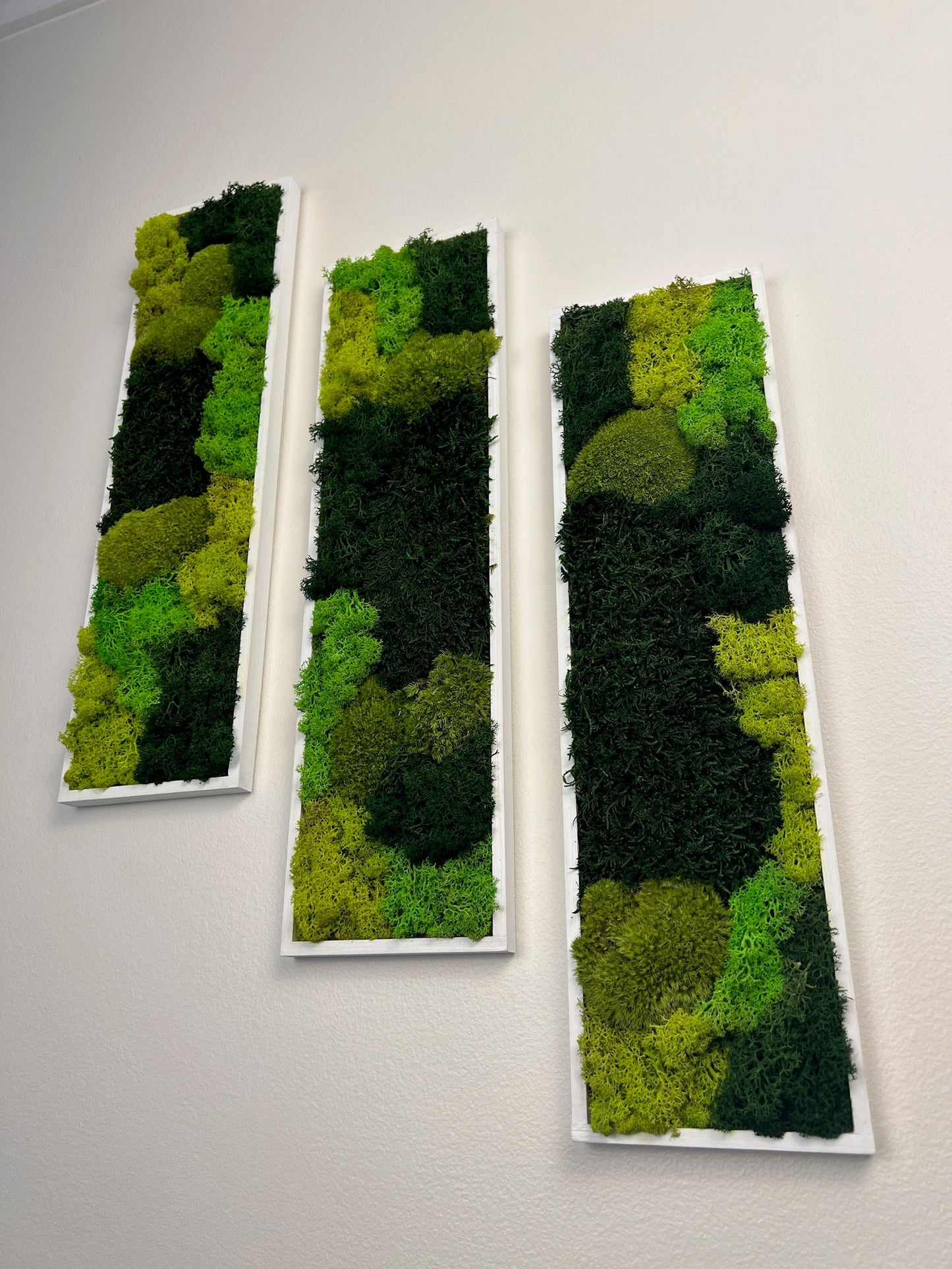Preserved Reindeer Moss Wall Art: Framed Rectangle Set (18x5) | USA - TARIFF FREE