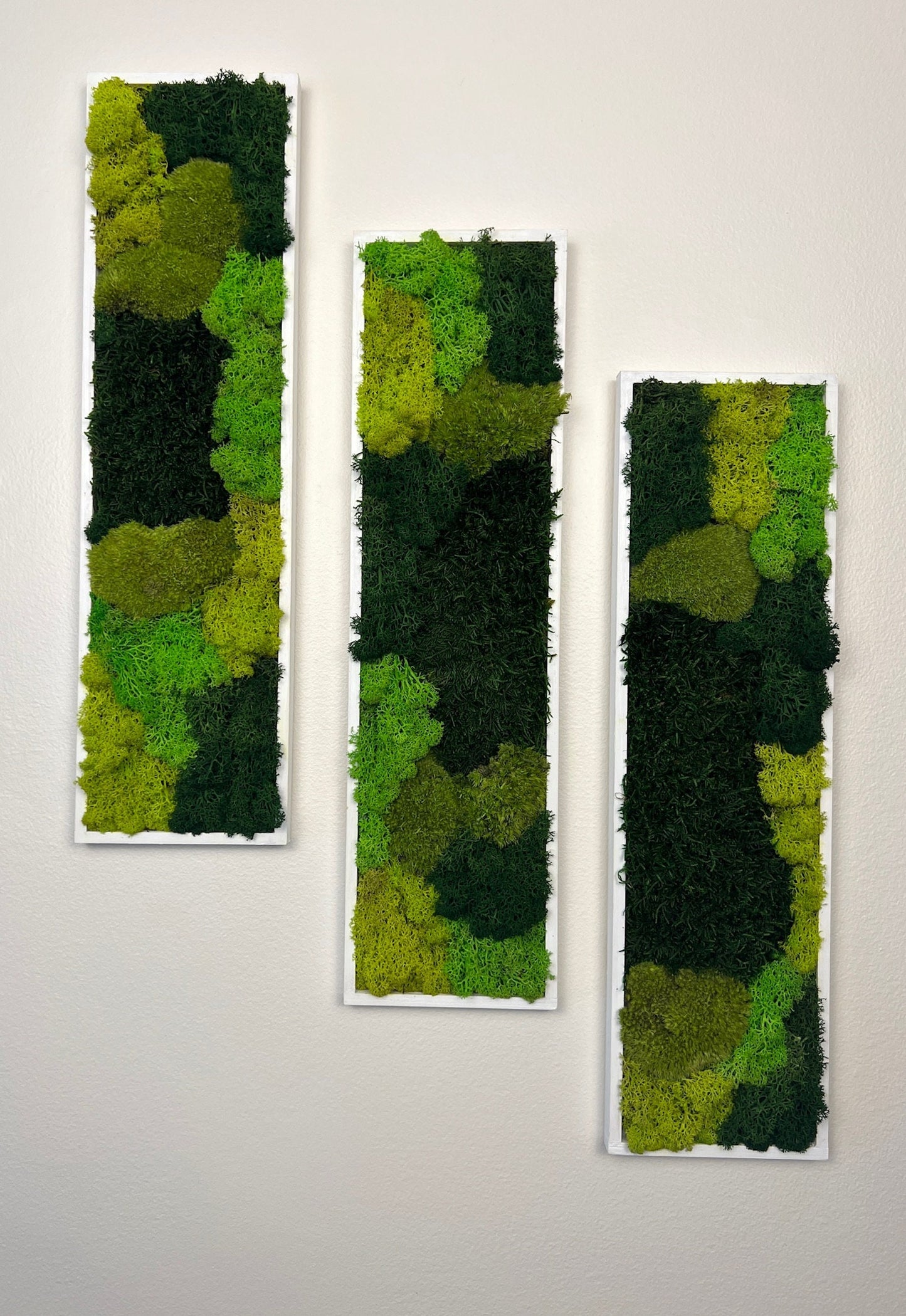 Preserved Reindeer Moss Wall Art: Framed Rectangle Set (18x5) | USA - TARIFF FREE