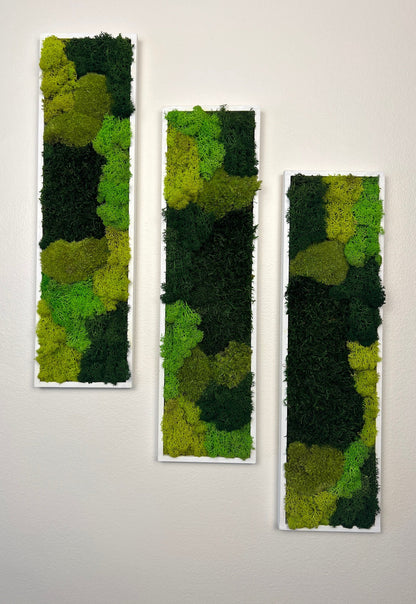 Preserved Reindeer Moss Wall Art: Framed Rectangle Set (18x5) | USA - TARIFF FREE