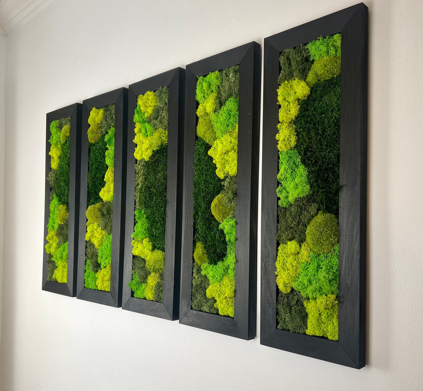 Preserved Reindeer Moss Wall Art: Framed Rectangle Set | USA - TARIFF FREE