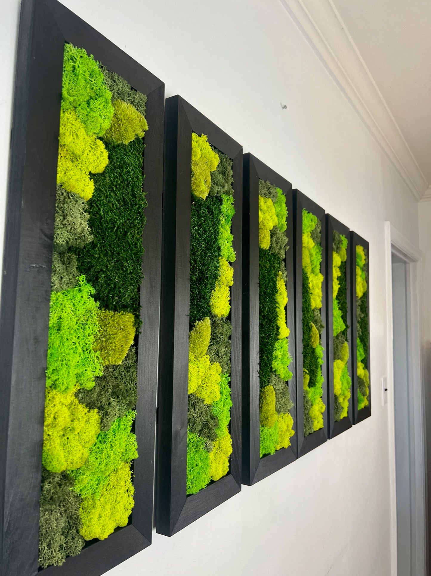 Moss Wall Art | Preserved Moss Art Framed | Moss Wall Decor | Large Rectangle Single to Six Set | Reindeer Pole Moss | Two Frame Options