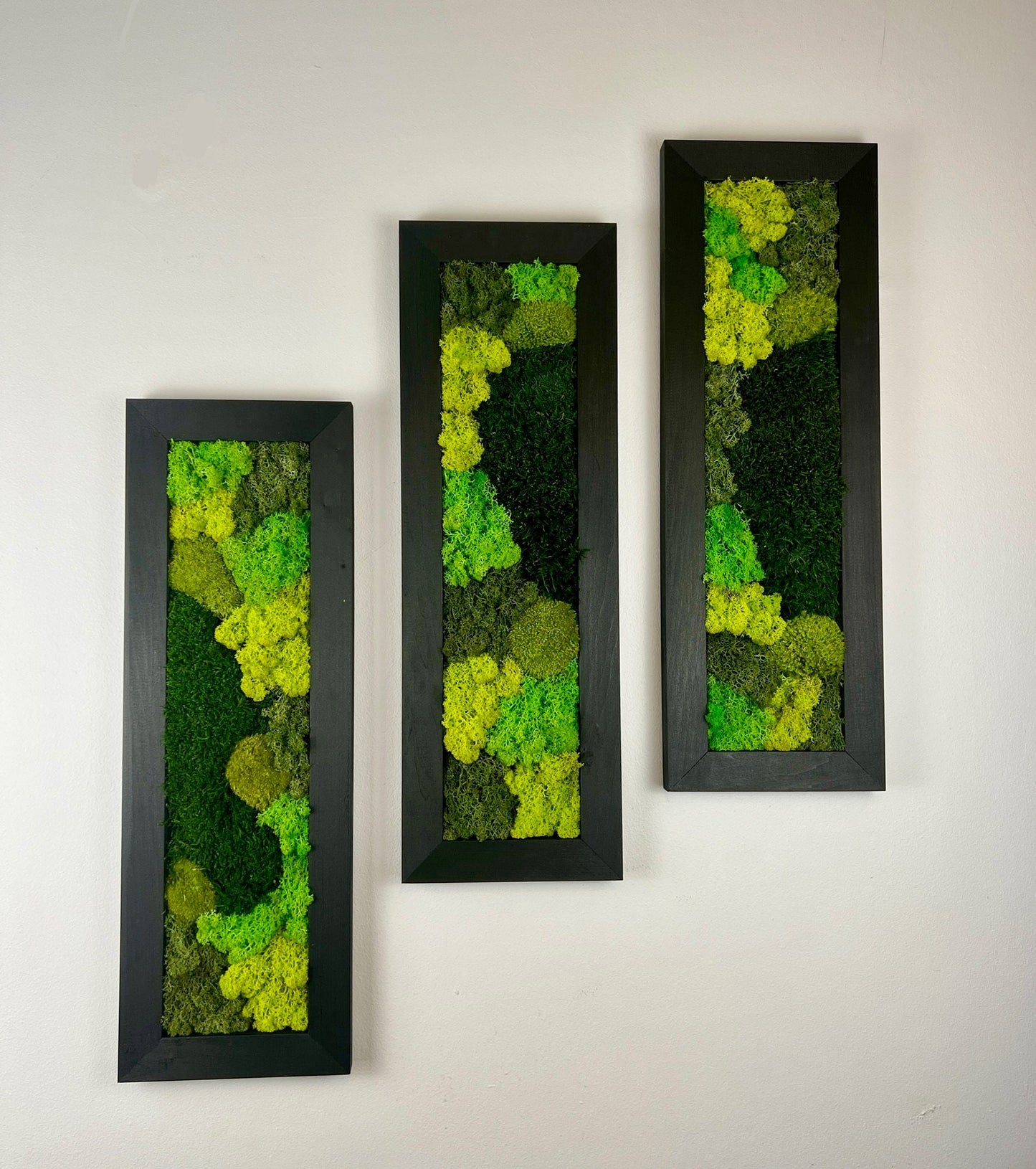 Preserved Reindeer Moss Wall Art: Framed Rectangle Set | USA - TARIFF FREE
