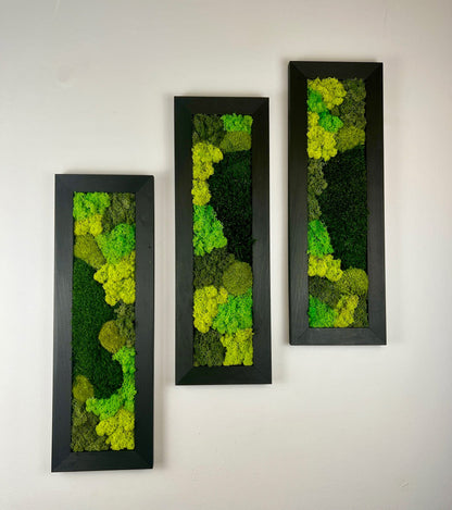Preserved Reindeer Moss Wall Art: Framed Rectangle Set | USA - TARIFF FREE