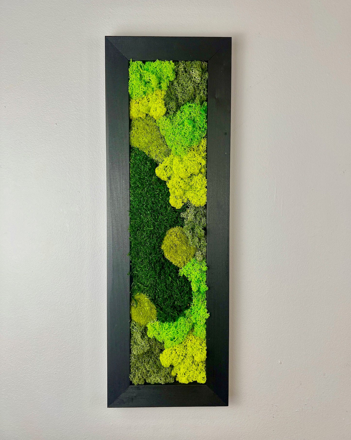 Preserved Reindeer Moss Wall Art: Framed Rectangle Set | USA - TARIFF FREE