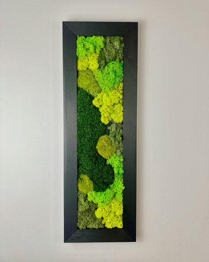 Preserved Reindeer Moss Wall Art: Framed Rectangle Set | USA - TARIFF FREE
