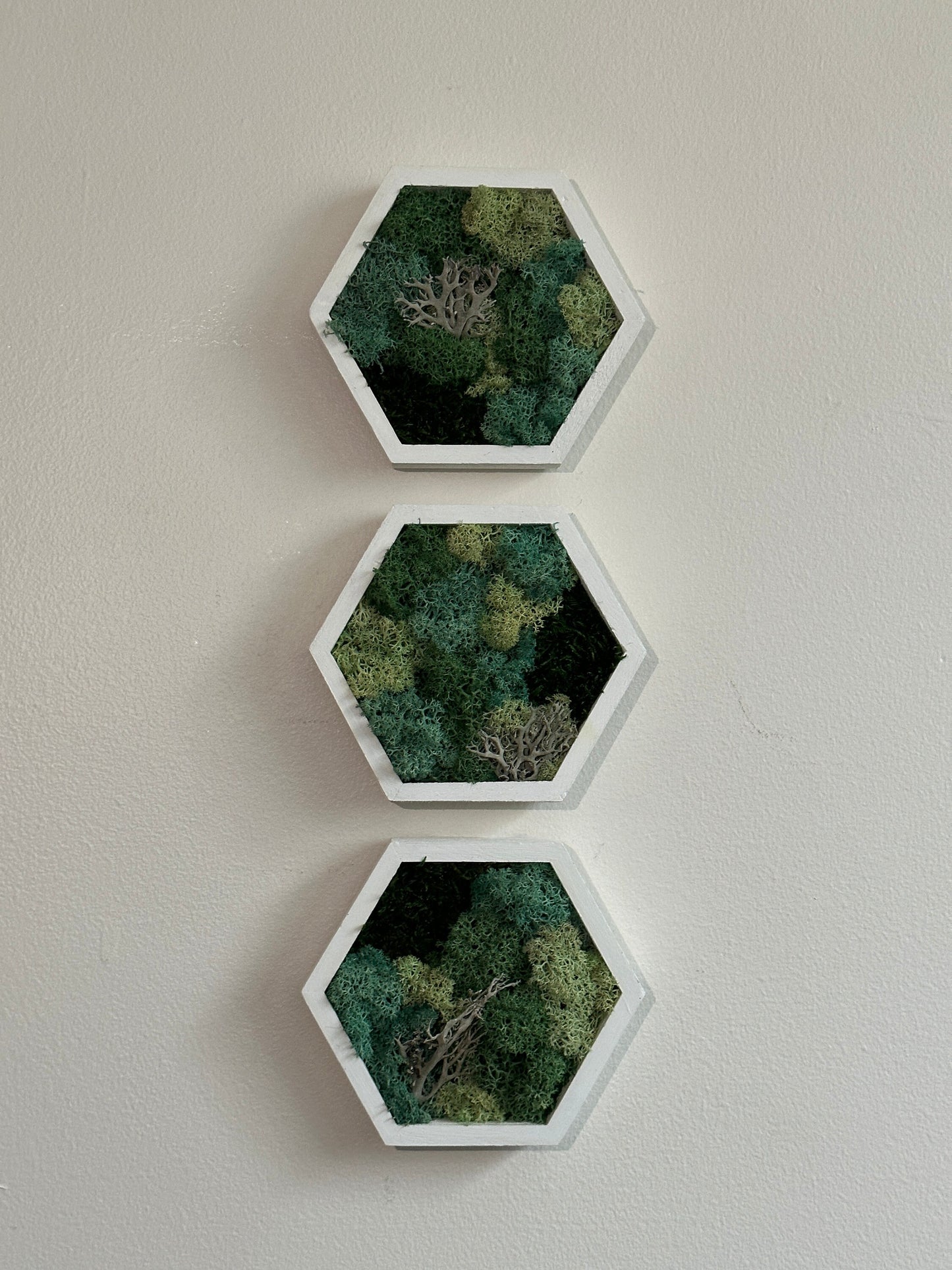 Moss Wall Art | |Honeycomb Moss Decor | Single to Set of Twelve | Wood Hexagon  | Reindeer Moss | Sheet Moss  | Green & Turquoise