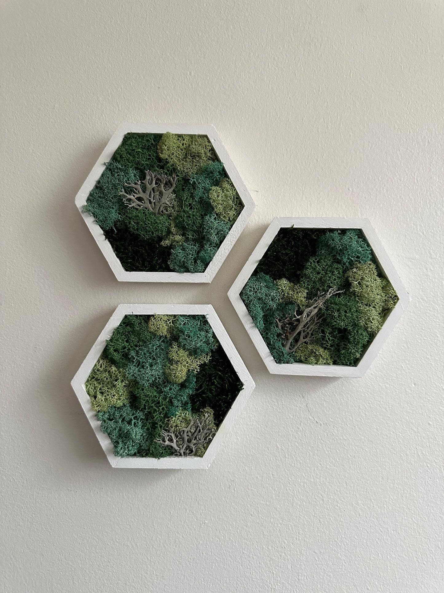 Moss Wall Art | |Honeycomb Moss Decor | Single to Set of Twelve | Wood Hexagon  | Reindeer Moss | Sheet Moss  | Green & Turquoise