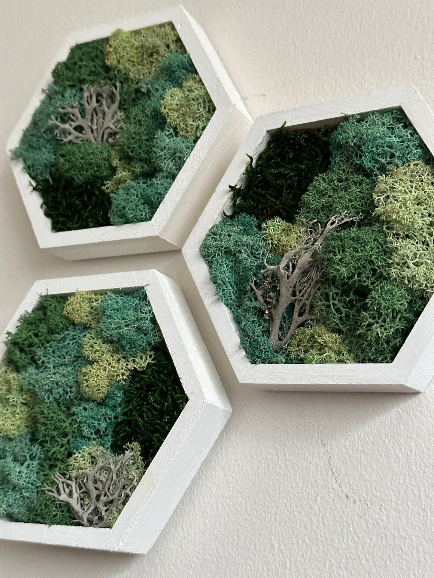 Moss Wall Art | |Honeycomb Moss Decor | Single to Set of Twelve | Wood Hexagon  | Reindeer Moss | Sheet Moss  | Green & Turquoise