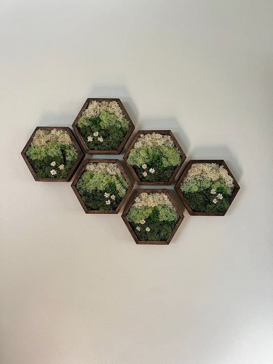 Moss Wall Art | Honeycomb Moss Single to Set of Twelve | Wood Hexagon  | Green Mountains and Clouds | Preserved Flowers | Nature Wall Art
