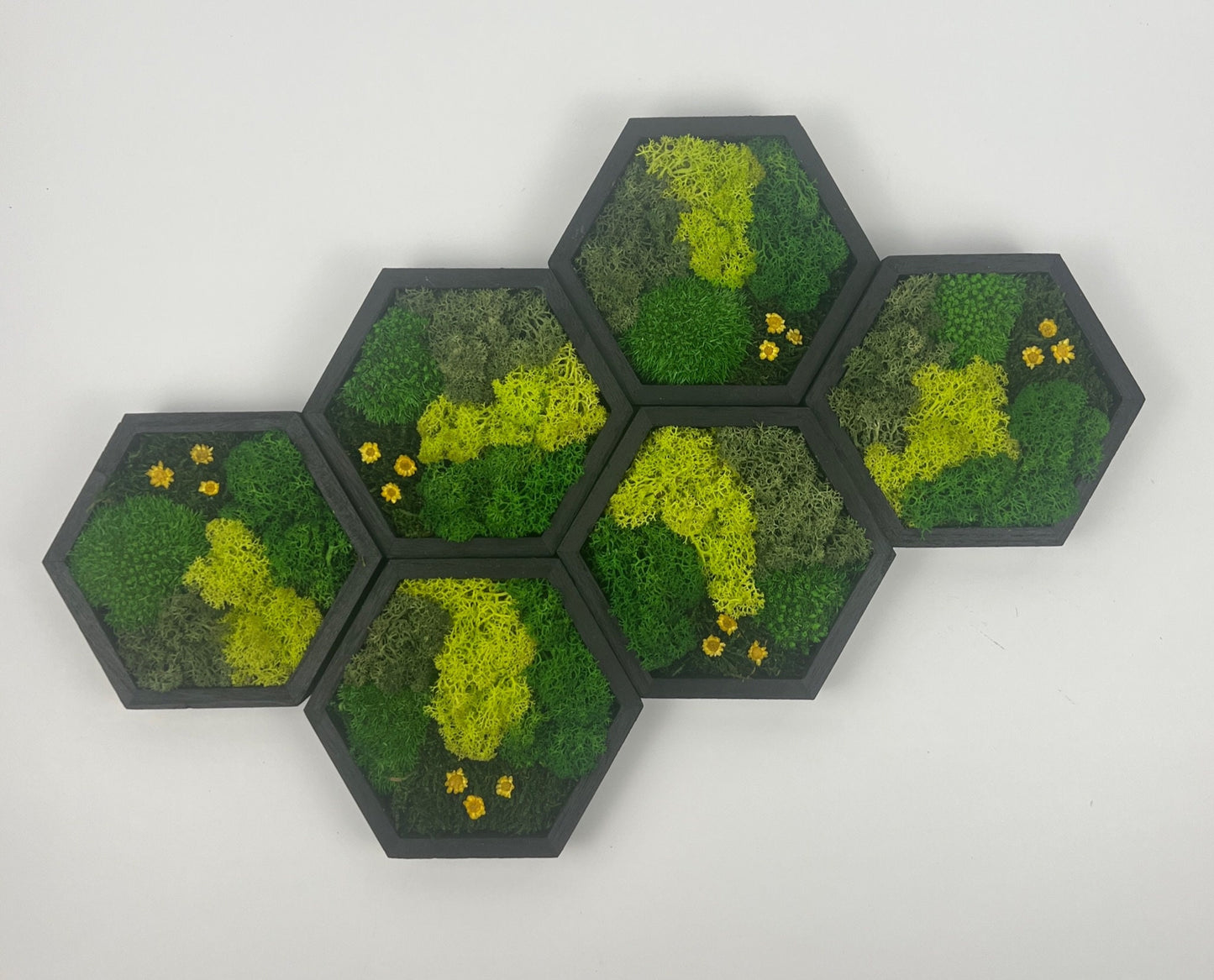 Hexagon Moss Wall Art: Reindeer Moss & Preserved Flowers | USA - TARIFF FREE
