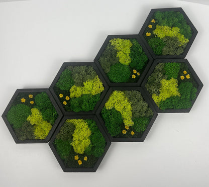 Hexagon Moss Wall Art: Reindeer Moss & Preserved Flowers | USA - TARIFF FREE
