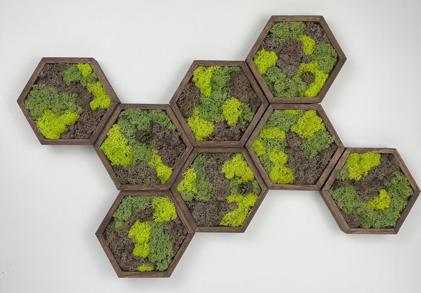Preserved Reindeer Moss Wall Art: Wood Hexagon Set | USA - TARIFF FREE