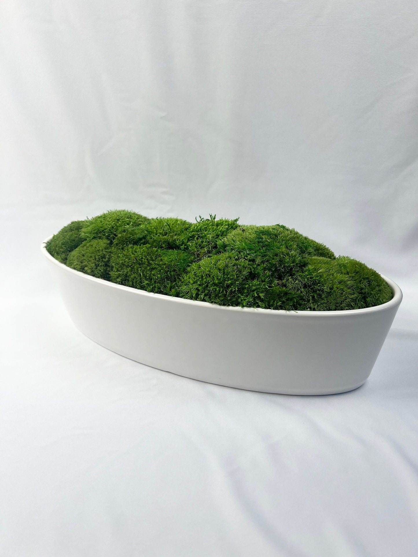Preserved Moss Centerpiece: Reindeer & Pole Moss in Ceramic Bowl | USA - TARIFF FREE