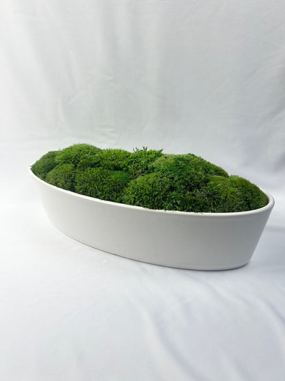 Preserved Moss Centerpiece: Reindeer & Pole Moss in Ceramic Bowl | USA - TARIFF FREE
