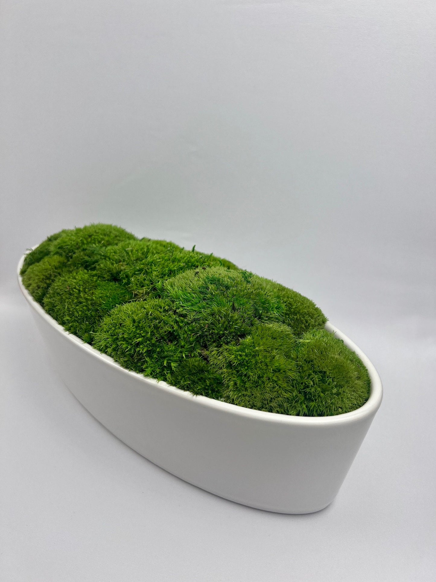 Preserved Moss Centerpiece: Reindeer & Pole Moss in Ceramic Bowl | USA - TARIFF FREE