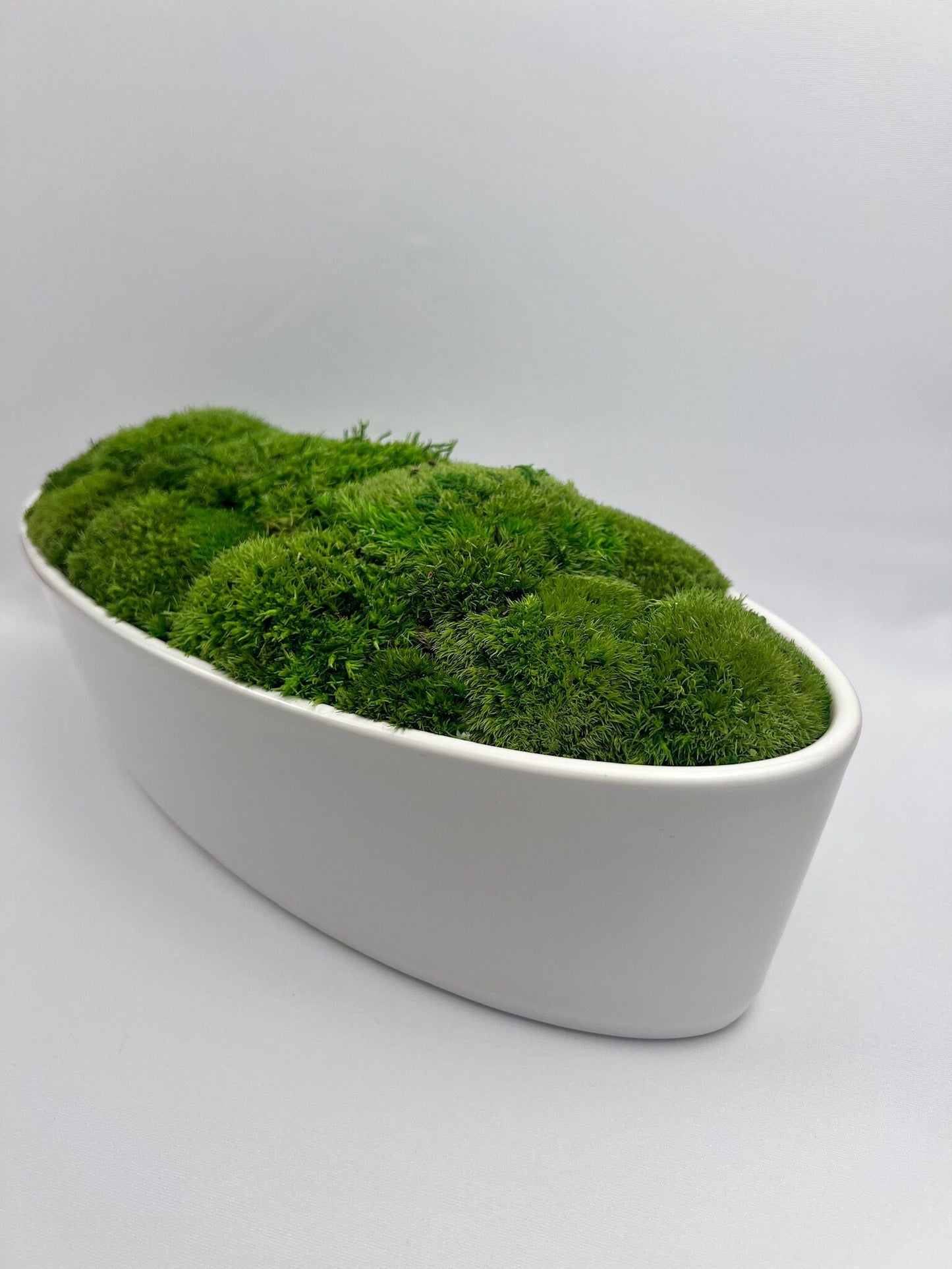 Preserved Moss Centerpiece: Reindeer & Pole Moss in Ceramic Bowl | USA - TARIFF FREE
