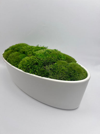 Preserved Moss Centerpiece: Reindeer & Pole Moss in Ceramic Bowl | USA - TARIFF FREE