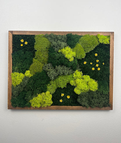 Preserved Moss Wall Art: Reindeer Moss in Wood Frame (12x16) | USA - TARIFF FREE