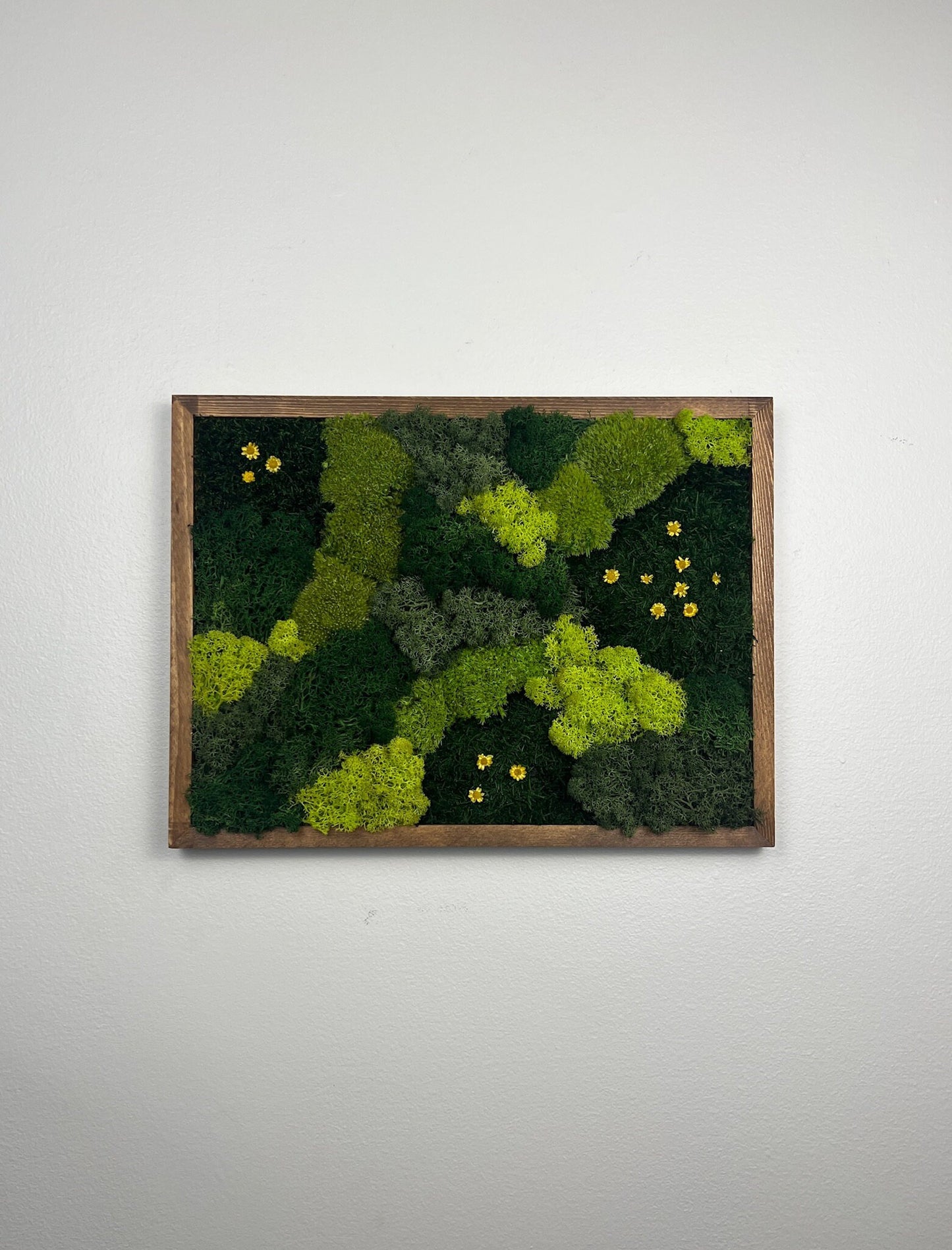 Preserved Moss Wall Art: Reindeer Moss in Wood Frame (12x16) | USA - TARIFF FREE