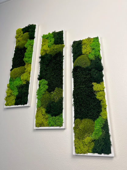 Preserved Reindeer Moss Wall Art: Framed Rectangle Set (18x5) | USA - TARIFF FREE