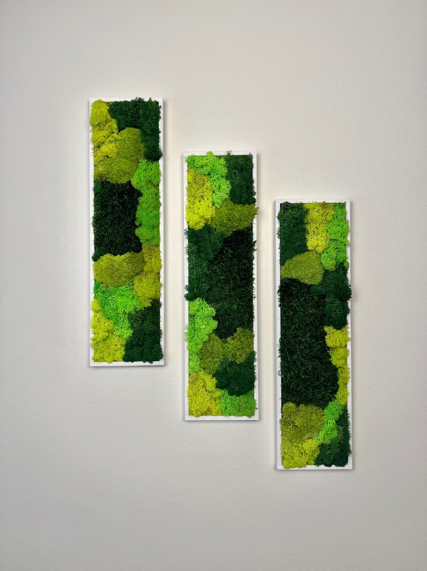 Preserved Reindeer Moss Wall Art: Framed Rectangle Set (18x5) | USA - TARIFF FREE
