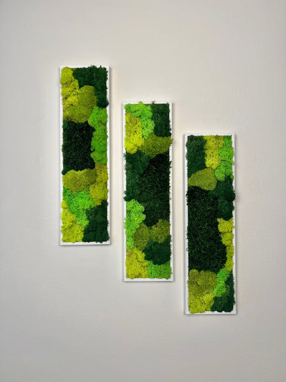Preserved Reindeer Moss Wall Art: Framed Rectangle Set (18x5) | USA - TARIFF FREE