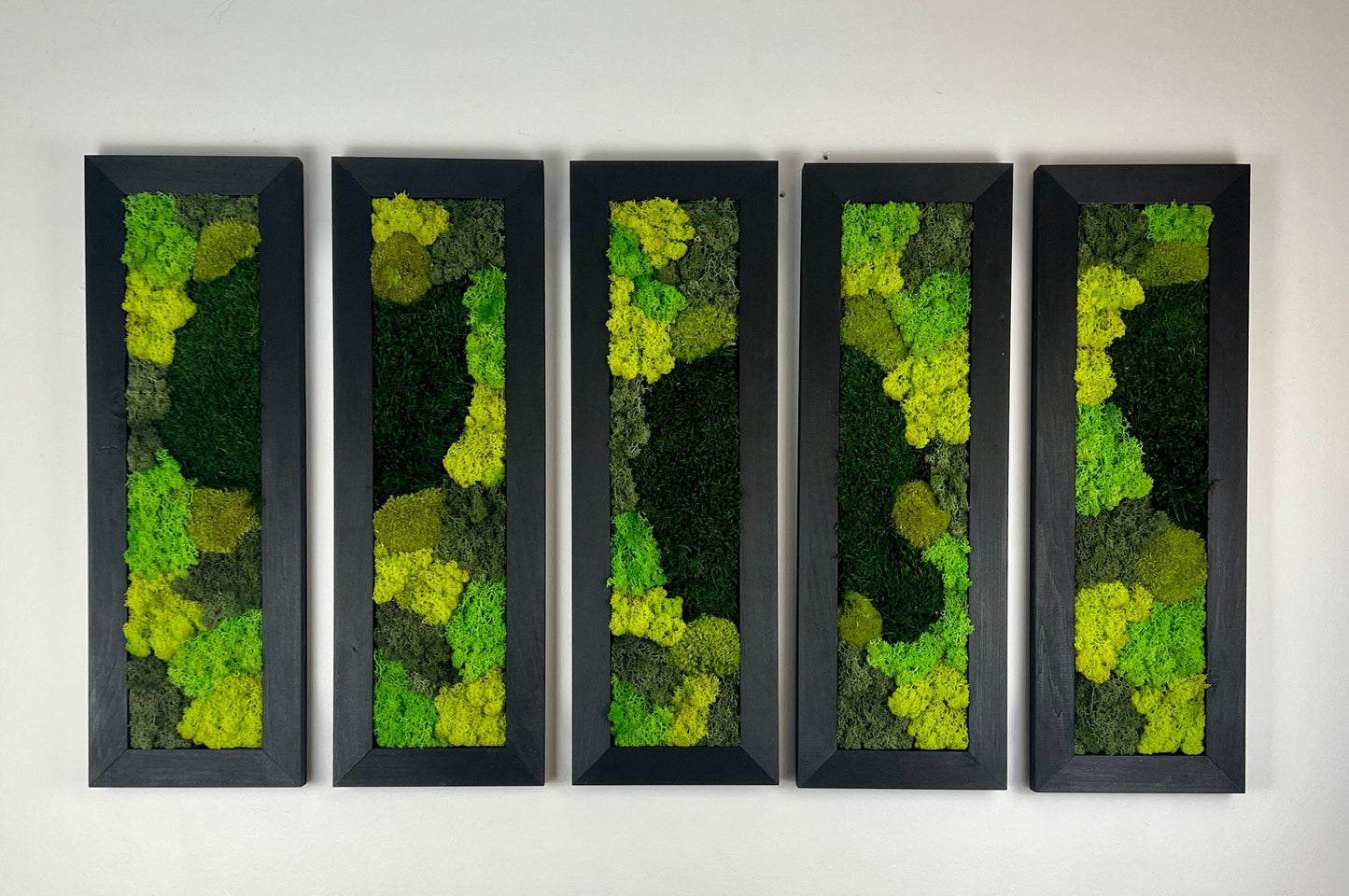 Preserved Reindeer Moss Wall Art: Framed Rectangle Set | USA - TARIFF FREE