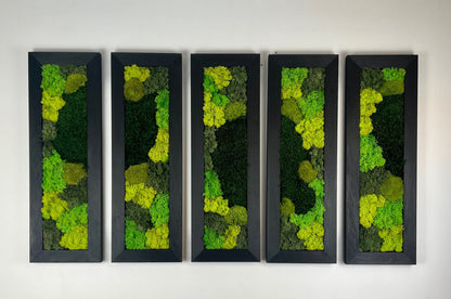 Preserved Reindeer Moss Wall Art: Framed Rectangle Set | USA - TARIFF FREE