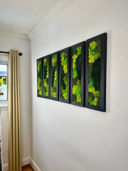 Moss Wall Art | Preserved Moss Art Framed | Moss Wall Decor | Large Rectangle Single to Six Set | Reindeer Pole Moss | Two Frame Options