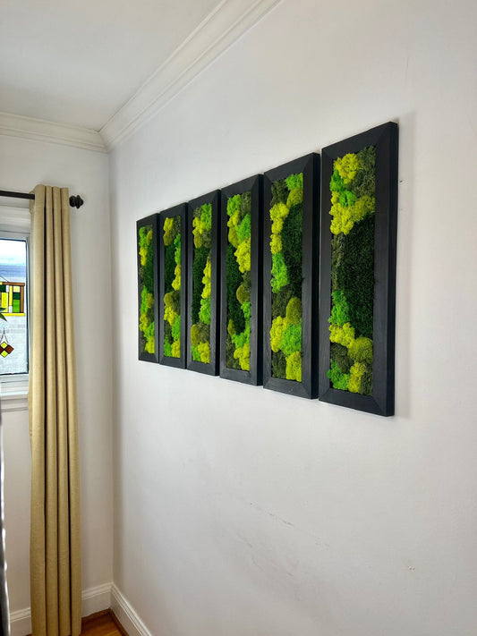Moss Wall Art | Preserved Moss Art Framed | Moss Wall Decor | Large Rectangle Single to Six Set | Reindeer Pole Moss | Two Frame Options