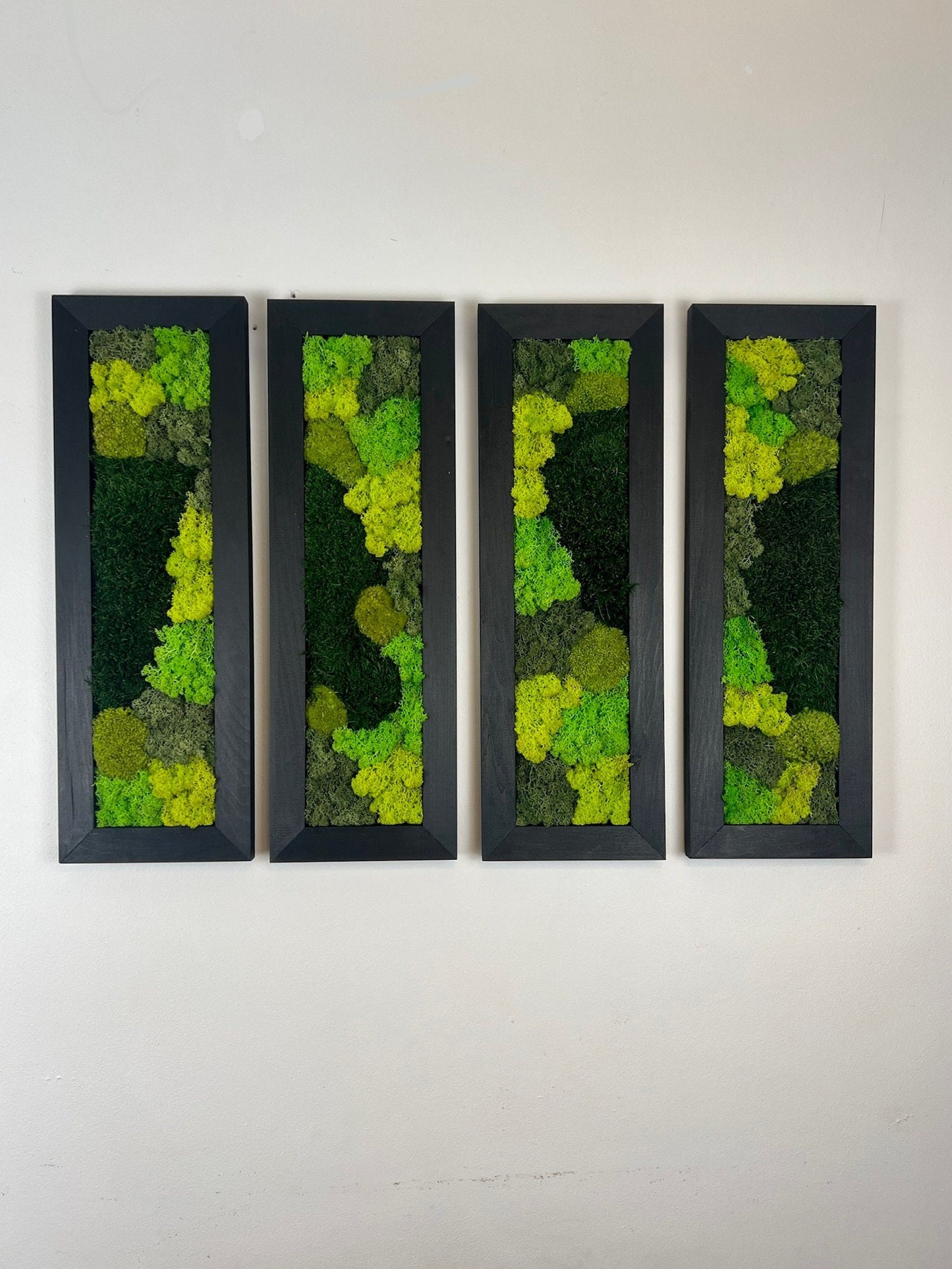 Preserved Reindeer Moss Wall Art: Framed Rectangle Set | USA - TARIFF FREE