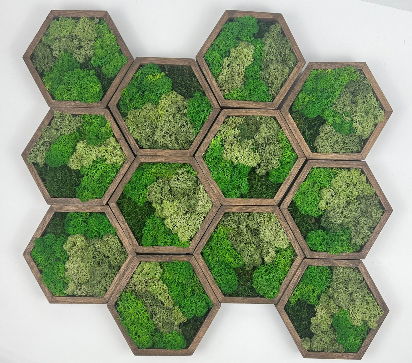 Moss Wall Art | Honeycomb Moss Single to Set of Twelve | Wood Hexagon  | Multiple Green Reindeer Moss | Sheet Moss | Birthday Gift