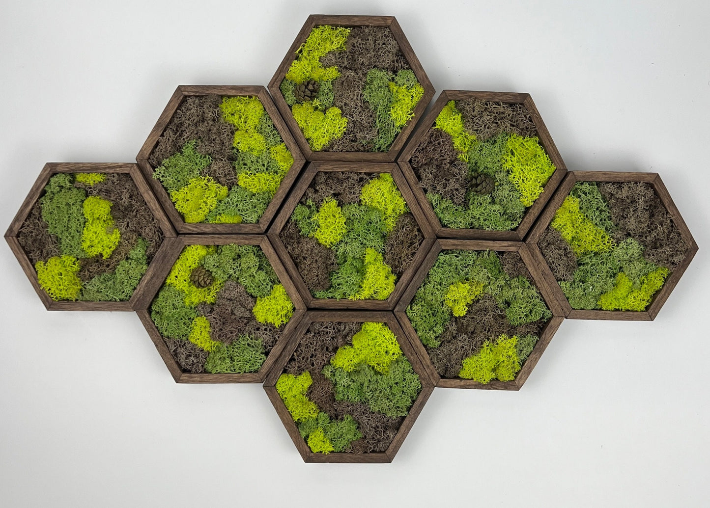 Preserved Reindeer Moss Wall Art: Wood Hexagon Set | USA - TARIFF FREE