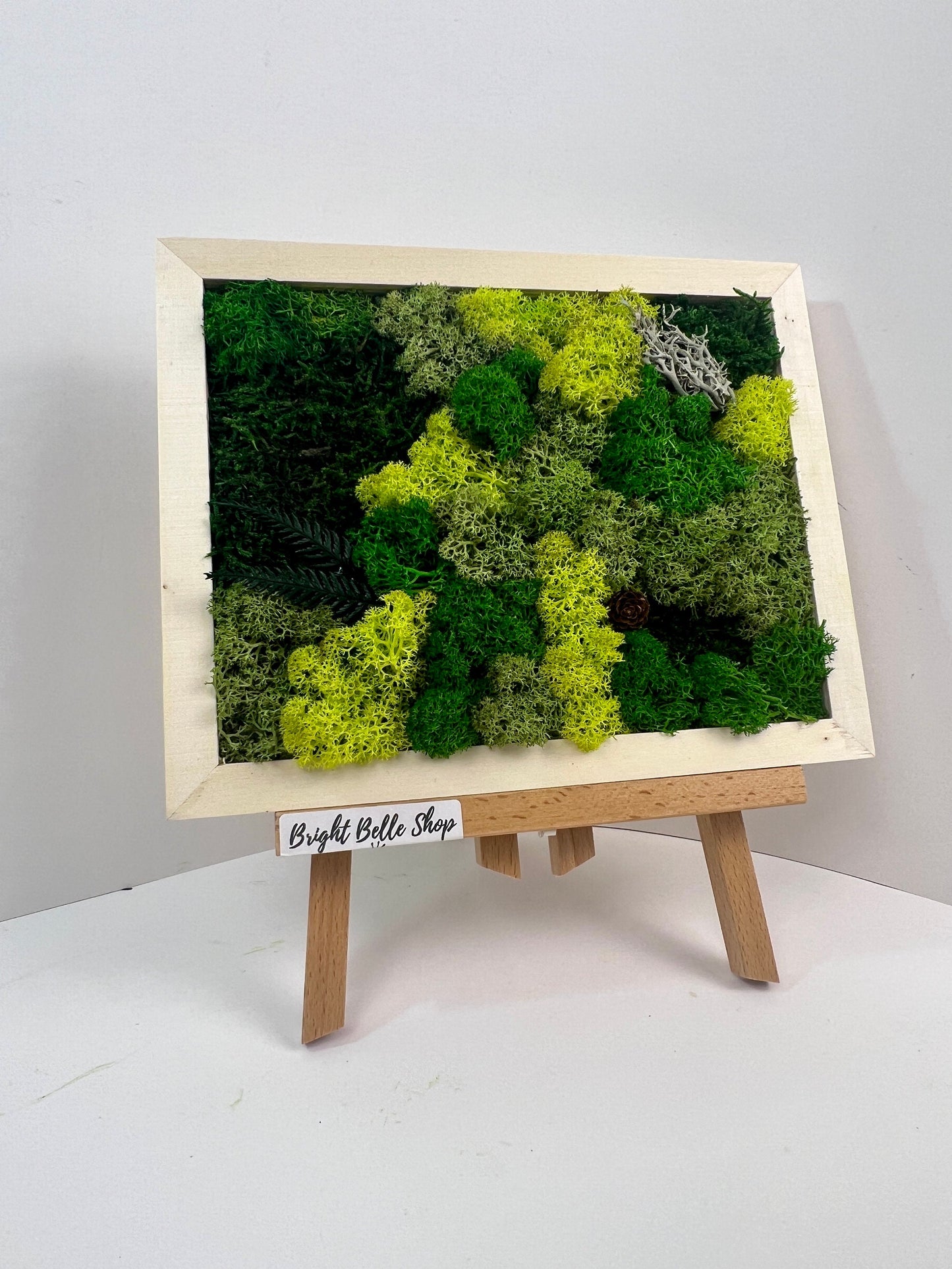 DIY Kit | Moss Wall Art | Nature Lover Gift | Preserved Moss Decor | Nature Inspired Art | Adult Craft Kit | Birthday Gift | Christmas Gift