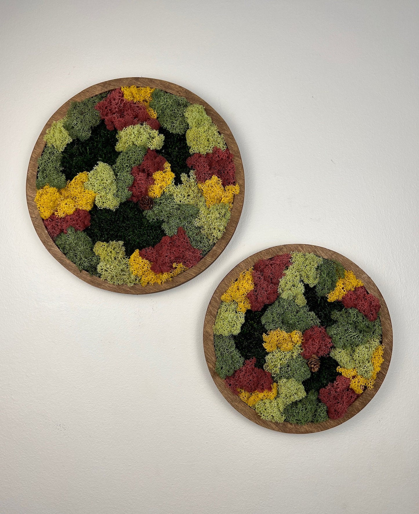 Framed Reindeer Moss Wall Art: Circle Moss Decor | USA - TARIFF FREE
