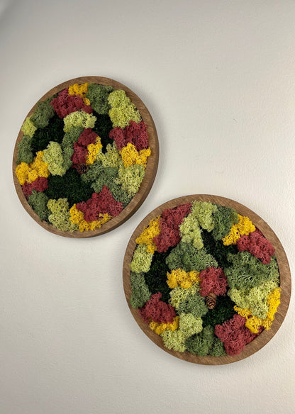 Framed Reindeer Moss Wall Art: Circle Moss Decor | USA - TARIFF FREE