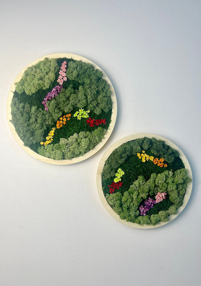 Framed Reindeer Moss Wall Art Circle: Preserved Moss Decor | USA - TARIFF FREE
