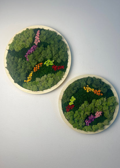 Framed Reindeer Moss Wall Art Circle: Preserved Moss Decor | USA - TARIFF FREE