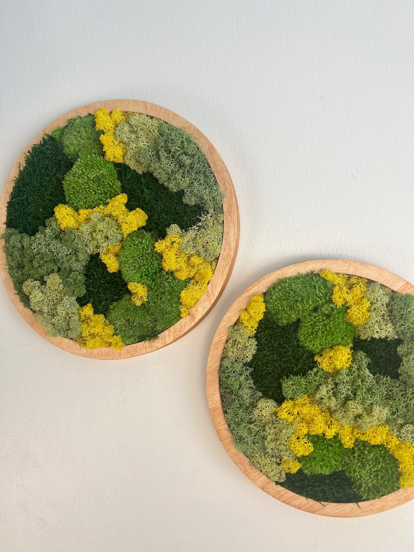 Moss Wall Art Circle | Preserved Moss Art Framed | Moss Wall Decor | Single or Set of Two | Reindeer Pole Sheet Moss | Gift | Christmas