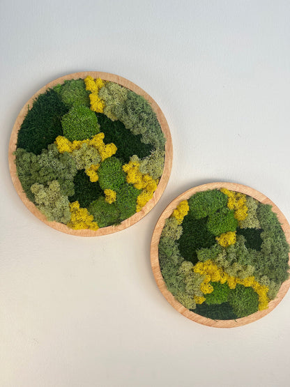 Moss Wall Art Circle | Preserved Moss Art Framed | Moss Wall Decor | Single or Set of Two | Reindeer Pole Sheet Moss | Gift | Christmas
