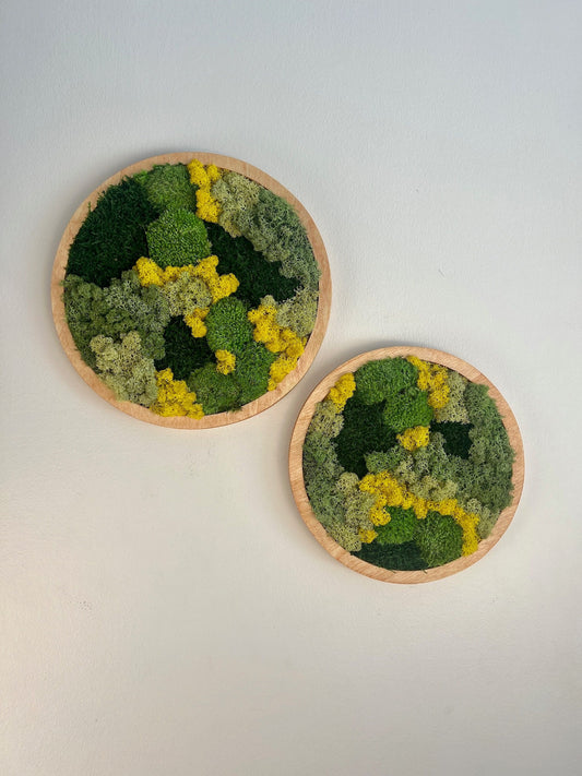 Moss Wall Art Circle | Preserved Moss Art Framed | Moss Wall Decor | Single or Set of Two | Reindeer Pole Sheet Moss | Gift | Christmas