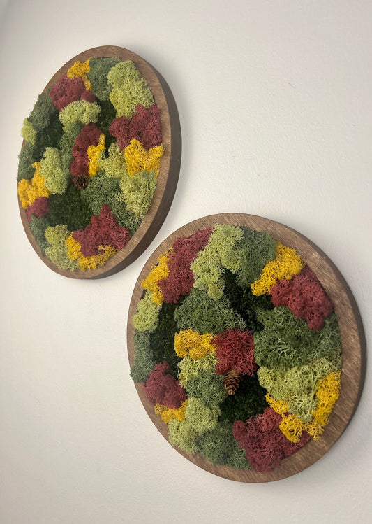 Moss Wall Art Circle | Preserved Moss Art Framed | Moss Wall Decor | Single or Set of Two | Reindeer & Sheet Moss | Gift | Christmas