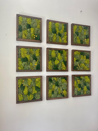 Moss Wall Art | Moss Decor | Single to Set of Nine | Wood Square Frame  | Preserved Moss | Live Moss | Green| Father's Day | 8" x 8"  Frames