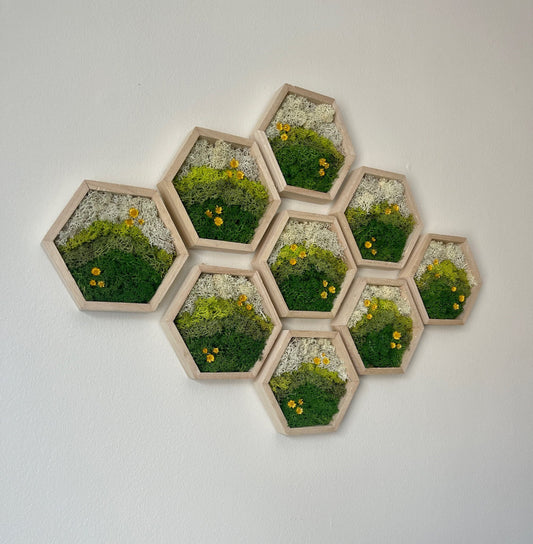 Moss Wall Art | Preserved Moss Decor | Single to Set of Twelve | Wood Hexagon Honeycomb | Mothers Day Gift