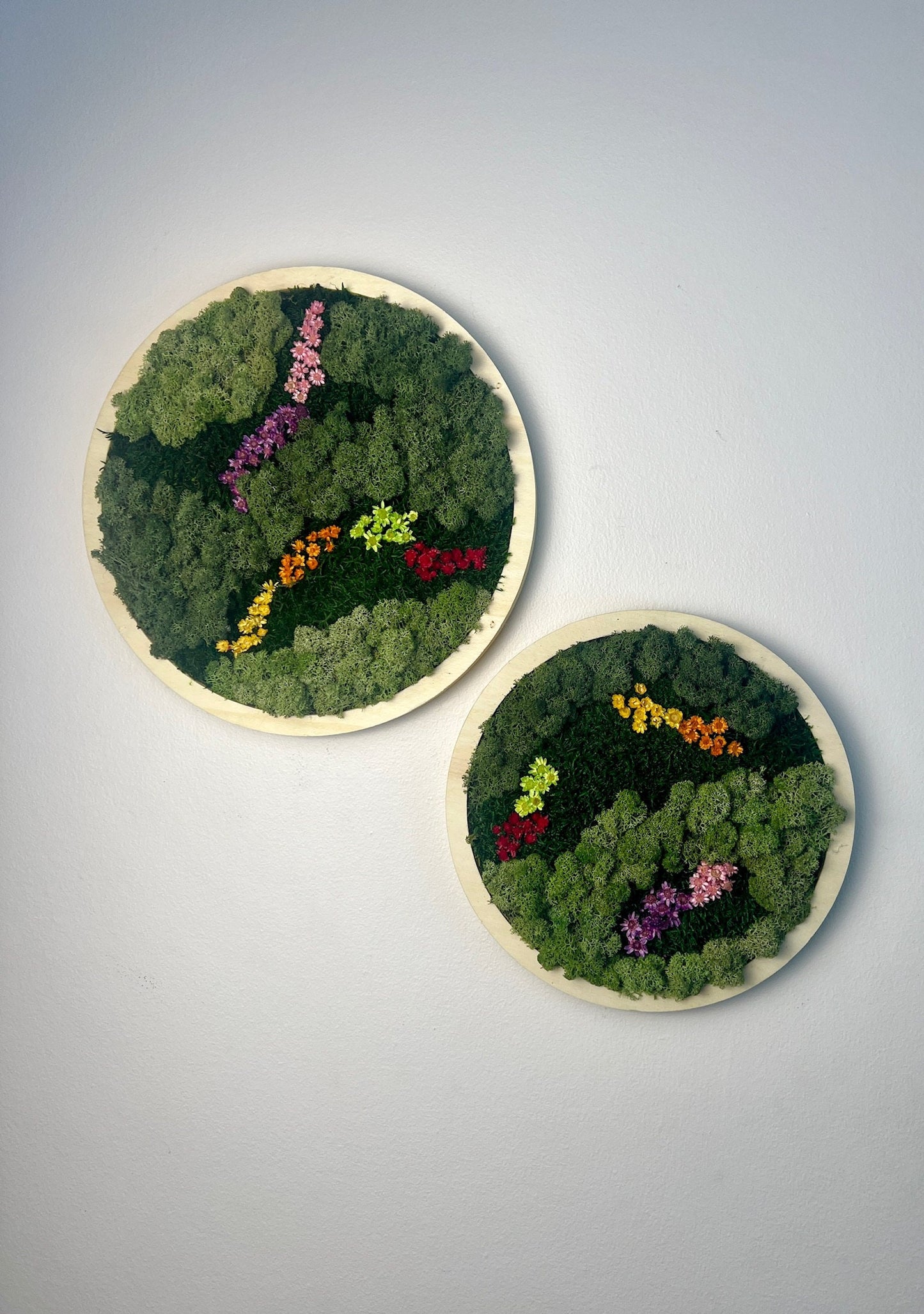 Framed Reindeer Moss Wall Art Circle: Preserved Moss Decor | USA - TARIFF FREE