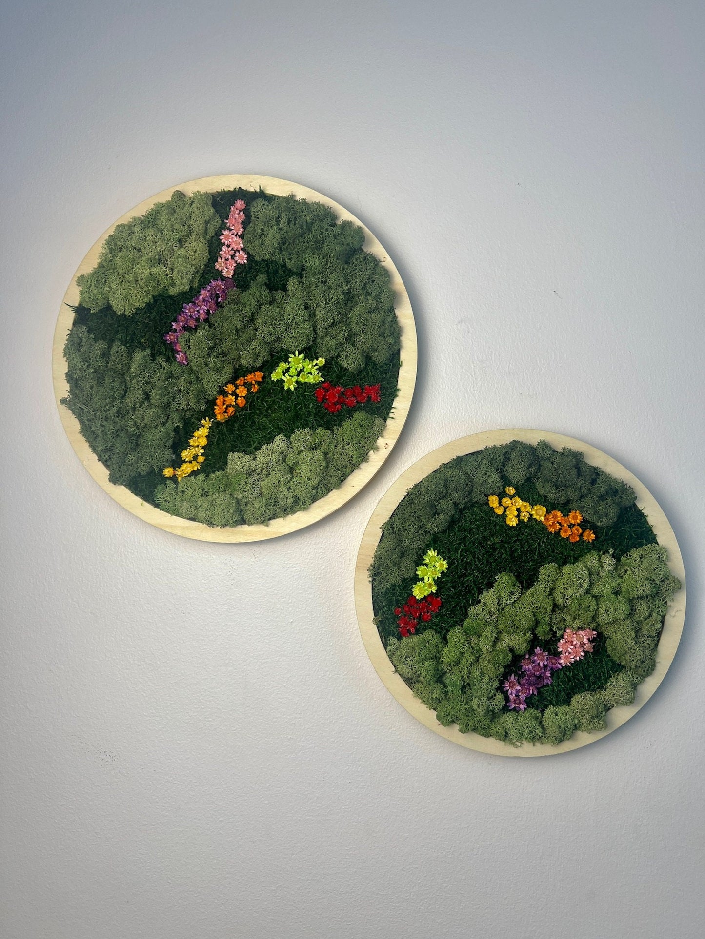 Framed Reindeer Moss Wall Art Circle: Preserved Moss Decor | USA - TARIFF FREE