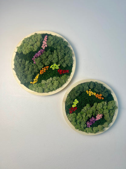 Framed Reindeer Moss Wall Art Circle: Preserved Moss Decor | USA - TARIFF FREE